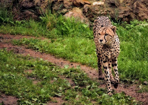 Fast Withdrawals Weigh In On Your Casino Cashout